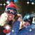 Kristine L. Williams-Lynch's profile image