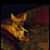 Paul S Roach's profile image