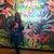 Laura Gonzalez's profile image