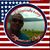Hada Hotrod Dodge's profile image