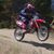Allen Striegel's profile image