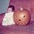 Rick Rupprecht's profile image