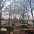 TreeWorld Nursery's profile image