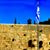 Kelly Fathy Ceder's profile image