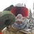 Billy Marcial's profile image