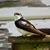 Christina Marie Hickman's profile image