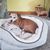 Molly Wolfer's profile image