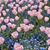Lauren Fowler Flowers's profile image
