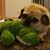 Michelle Cohen's profile image