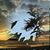Donna Van Der Eems's profile image