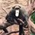 Mike Eberle's profile image