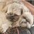 Julie Mueller Biever's profile image