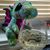Heidi Eastman's profile image