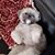 Linda Mroz Kersten's profile image