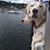 Kathryn Lalime's profile image
