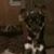 Glenda F. Padgett's profile image