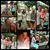 Darlene Hooper's profile image