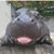 Brandy Brotherton's profile image