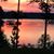 Cheryl Followell's profile image