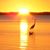 Joanie Carney's profile image