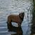 Paul Meyer's profile image