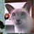 Cyndi Smith's profile image