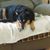 Bonnie Dugger's profile image