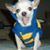 Heather Hilgar's profile image