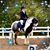 Ashley Sarkozi's profile image