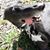 Fusun Cetin's profile image
