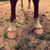 Witts Farrier's profile image