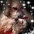 Colleen Alkire's profile image