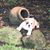 Elma Lynn Young's profile image