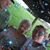 Debra Finley Niemeyer's profile image