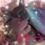 Dawn Grout's profile image