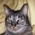 Steve Hochschild's profile image