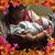 Rose Mary Varner's profile image
