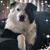 Allison Knaus Hope's profile image