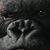 Vladimir Alfredo Rivera's profile image