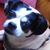 Claudia Mae Richmond's profile image