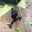 Mark Pinkard's profile image