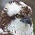 Carol Craig's profile image