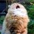 Judi Murdock's profile image