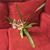 Chou Chou Ghadimi's profile image