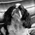 Richard Pearson's profile image