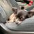 Erkan Beyaz's profile image