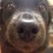 Ramona P.'s profile image