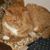Jackie Pasquini's profile image