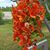 Kathy Costilla's profile image