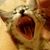 Iris Jardee's profile image